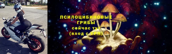 дживик Аркадак