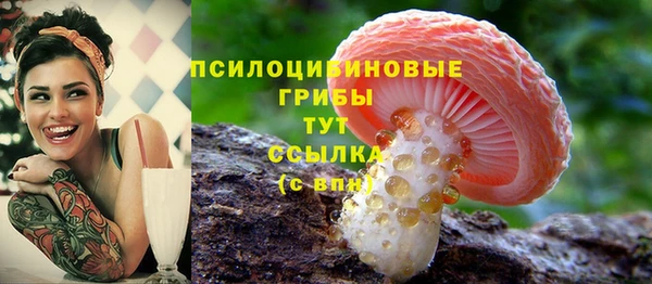 дживик Аркадак